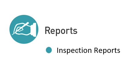 Inspection Reports Icon
