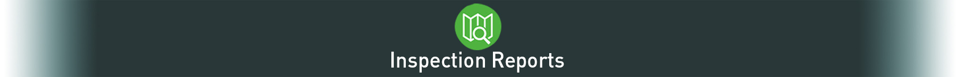 InspectionReports_ICON InspectionReports_ICON