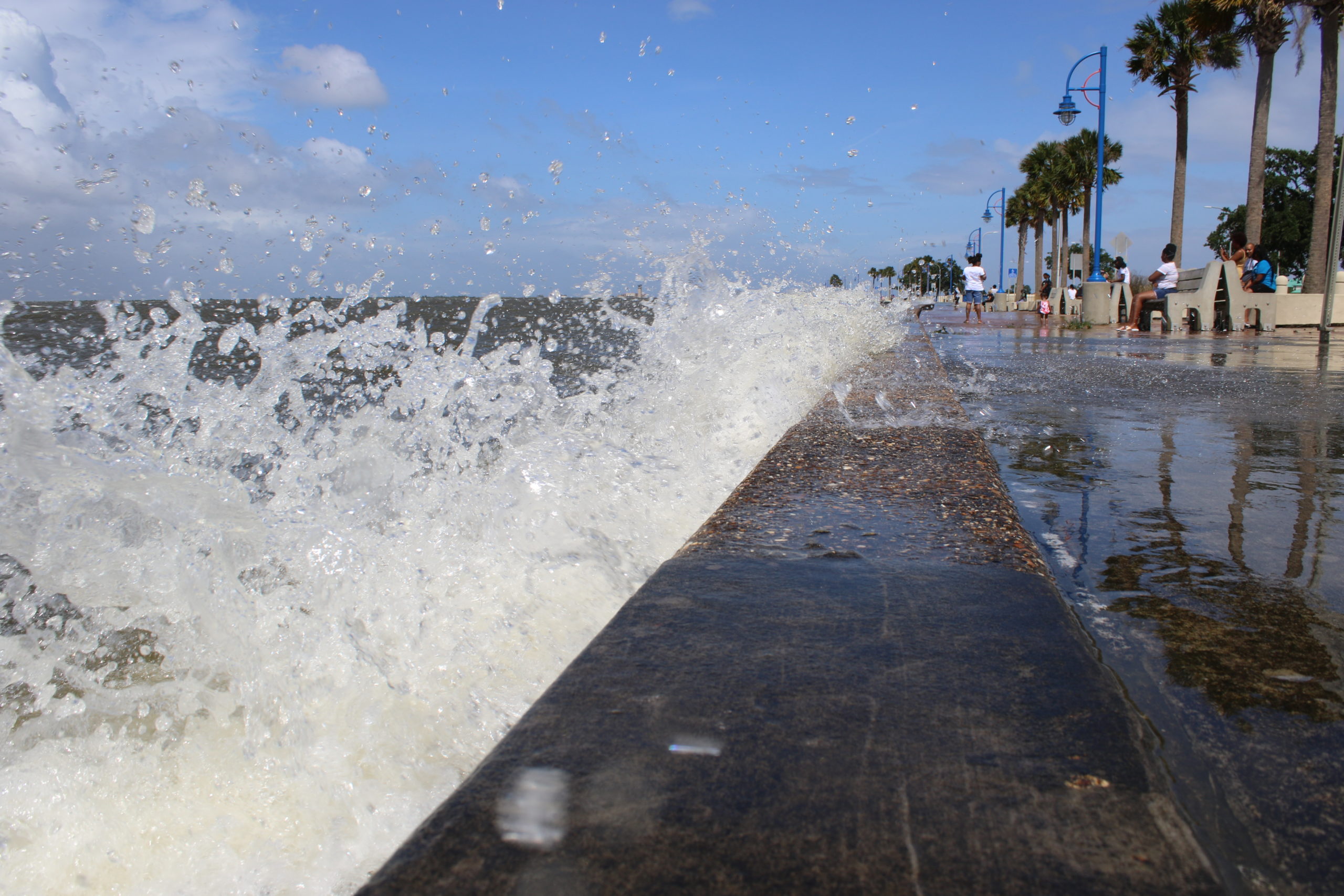 Sea Wall Banner Picture